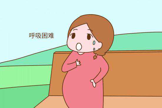做试管南京好还是上海好，上海长征医院试管婴儿医生名单，2024助孕成功率高