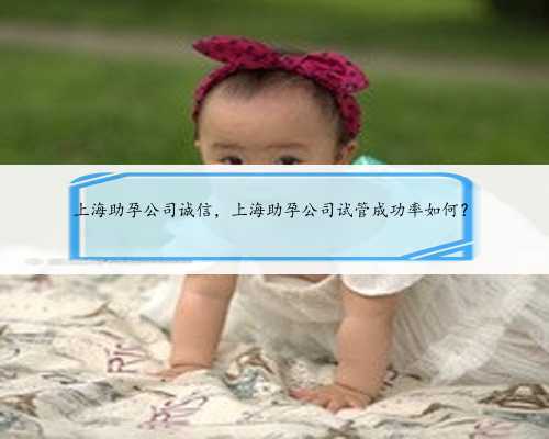 上海助孕公司诚信，上海助孕公司试管成功率如
