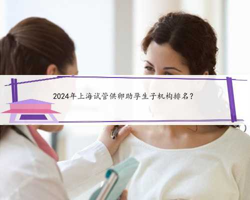2024年上海试管供卵助孕生