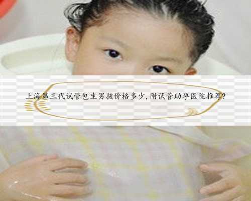 <b>上海第三代试管包生男孩价格多少,附试管助孕医院推荐?</b>